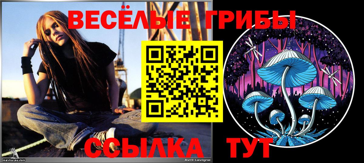 Псилоцибиновые грибы мицелий Великие Луки