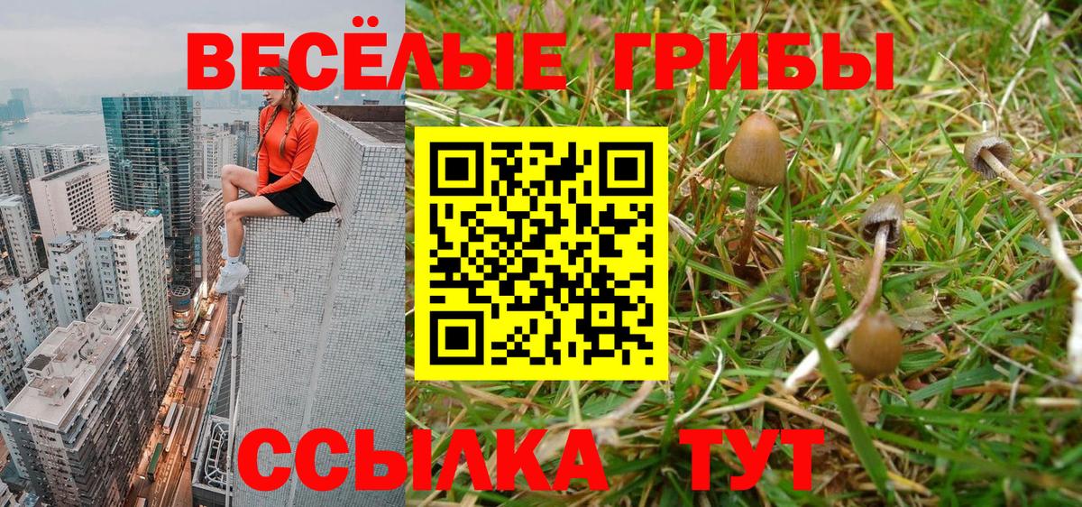 Великие Луки  Псилоцибиновые грибы Cubensis  Вход с VPN 